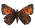  ( - AP-739)  @11 [ ] by-nc (2022) Pasi Sihvonen University of Helsinki