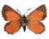  ( - AP-740)  @11 [ ] by-nc (2022) Pasi Sihvonen University of Helsinki
