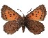  ( - AP-740)  @11 [ ] by-nc (2022) Pasi Sihvonen University of Helsinki