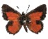  ( - AP-747)  @11 [ ] by-nc (2022) Pasi Sihvonen University of Helsinki