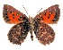  ( - AP-884)  @11 [ ] by-nc (2022) Pasi Sihvonen University of Helsinki