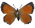  ( - AP-928)  @11 [ ] BY-NC-SA (2022) Jeremy Dobson, RSA Jeremy Dobson