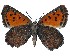  ( - AP-930)  @11 [ ] BY-NC-SA (2022) Jeremy Dobson, RSA Jeremy Dobson