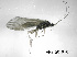  ( - ARin-2016R011)  @11 [ ] CreativeCommons - Attribution Non-Commercial (2018) Aki Rinne University of Oulu