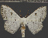  ( - BC ETH 2415)  @11 [ ] BY-NC-SA (2022) Dirk Stadie, GER Dirk Stadie