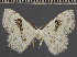  ( - BC ETH 2419)  @11 [ ] BY-NC-SA (2022) Dirk Stadie, GER Dirk Stadie