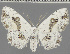  ( - BC MDG 5)  @11 [ ] BY-NC-SA (2022) Dirk Stadie, GER Dirk Stadie