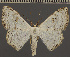  ( - BC UG 1044)  @11 [ ] BY-NC-SA (2022) Dirk Stadie, GER Dirk Stadie