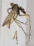  ( - EVI-000041)  @11 [ ] CreativeCommons - Attribution Non-Commercial (2019) Marko Mutanen University of Oulu