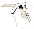  ( - EVI-000059)  @11 [ ] by-nc (2020) Esko Viitanen Unspecified