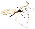  ( - EVI-000060)  @11 [ ] by-nc (2020) Esko Viitanen Unspecified
