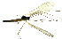  ( - EVI-000061)  @11 [ ] by-nc (2020) Esko Viitanen Unspecified