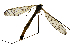  ( - EVI-000072)  @11 [ ] by-nc (2021) Esko Viitanen Unspecified