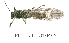  ( - FIPLECO-2018F072)  @11 [ ] CreativeCommons - Attribution Non-Commercial (2019) Aki Rinne Unspecified