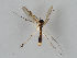  ( - MZH_GAS.192)  @11 [ ] CreativeCommons - Attribution Non-Commercial (2018) Marko Mutanen University of Oulu