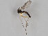  ( - MZH_GAS.208)  @11 [ ] CreativeCommons - Attribution Non-Commercial (2018) Marko Mutanen University of Oulu