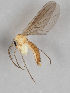  ( - MZH_GAS.240)  @11 [ ] CreativeCommons - Attribution Non-Commercial (2018) Marko Mutanen University of Oulu