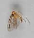  ( - MZH_GAS.241)  @11 [ ] CreativeCommons - Attribution Non-Commercial (2018) Marko Mutanen University of Oulu