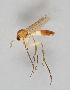  ( - MZH_GAS.262)  @11 [ ] CreativeCommons - Attribution Non-Commercial (2018) Marko Mutanen University of Oulu