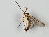  ( - MZH_GAS.266)  @11 [ ] CreativeCommons - Attribution Non-Commercial (2018) Marko Mutanen University of Oulu