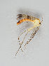  ( - MZH_GAS.269)  @11 [ ] CreativeCommons - Attribution Non-Commercial (2018) Marko Mutanen University of Oulu