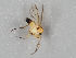  ( - MZH_GAS.271)  @11 [ ] CreativeCommons - Attribution Non-Commercial (2018) Marko Mutanen University of Oulu