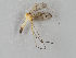  ( - MZH_GAS.277)  @11 [ ] CreativeCommons - Attribution Non-Commercial (2018) Marko Mutanen University of Oulu