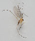  ( - MZH_GAS.285)  @11 [ ] CreativeCommons - Attribution Non-Commercial (2018) Marko Mutanen University of Oulu