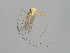  ( - MZH_GAS.287)  @11 [ ] by-nc (2018) Marko Mutanen University of Oulu