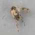  ( - GAS.2915)  @11 [ ] by-nc (2024) Erkka Laine University of Oulu