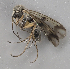  ( - GAS.2917)  @11 [ ] by-nc (2024) Erkka Laine University of Oulu