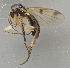  ( - GAS.2932)  @11 [ ] by-nc (2024) Erkka Laine University of Oulu