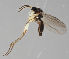  ( - MZH_GAS.360)  @11 [ ] by-nc (2018) Marko Mutanen University of Oulu