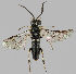  ( - MZH_GL.3357)  @11 [ ] by-nc (2021) Luomus University of Helsinki