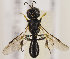  ( - GP.66216)  @13 [ ] CreativeCommons - Attribution Non-Commercial (2016) Marko Mutanen University of Oulu