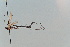  ( - GP.113392)  @11 [ ] by-nc (2023) Juuso Paappanen University of Oulu