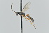  ( - GP.113446)  @11 [ ] by-nc (2023) Juuso Paappanen University of Oulu