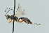  ( - GP.113448)  @11 [ ] by-nc (2023) Juuso Paappanen University of Oulu