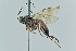  ( - GP.113450)  @11 [ ] by-nc (2023) Juuso Paappanen University of Oulu