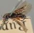  ( - MZH_GQ.1056)  @11 [ ] by-nc (2023) Simo Vaananen Luomus