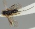 ( - MZH_GQ.1077)  @11 [ ] by-nc (2023) Simo Vaananen Luomus