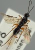 ( - MZH_GQ.1090)  @11 [ ] by-nc (2023) Simo Vaananen Luomus
