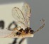  ( - MZH_GQ.1128)  @11 [ ] by-nc (2023) Simo Vaananen Luomus