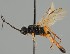  ( - MZH_GQ.1208)  @11 [ ] by-nc (2023) Simo Vaananen Luomus