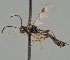  ( - MZH_GQ.1274)  @11 [ ] by-nc (2023) Simo Vaananen Luomus