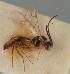  ( - MZH_GQ.1276)  @11 [ ] by-nc (2023) Simo Vaananen Luomus