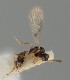  ( - MZH_GQ.1296)  @11 [ ] by-nc (2023) Simo Vaananen Luomus