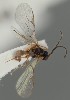  ( - MZH_GQ.1332)  @11 [ ] by-nc (2023) Simo Vaananen Luomus