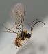  ( - MZH_GQ.1340)  @11 [ ] by-nc (2023) Simo Vaananen Luomus