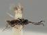  ( - MZH_GQ.1536)  @11 [ ] by-nc (2023) Simo Vaananen Luomus
